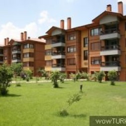 VİŞNE EVLERİ